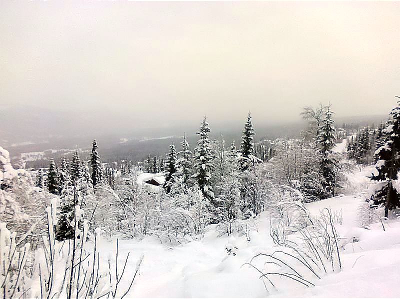 ../_images/20100130-skiing-omrade.jpg