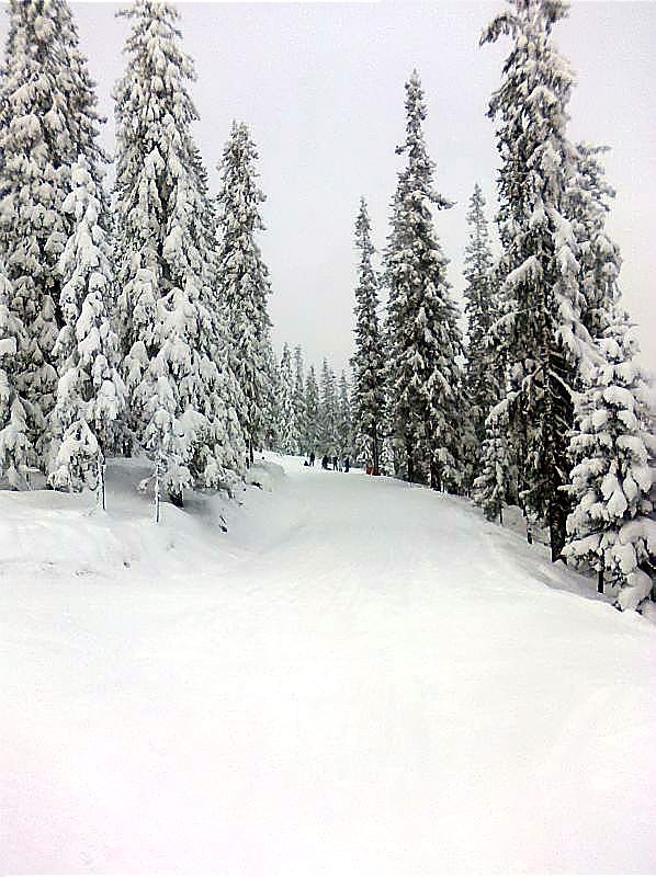 ../_images/20100130-skiing_02.jpg
