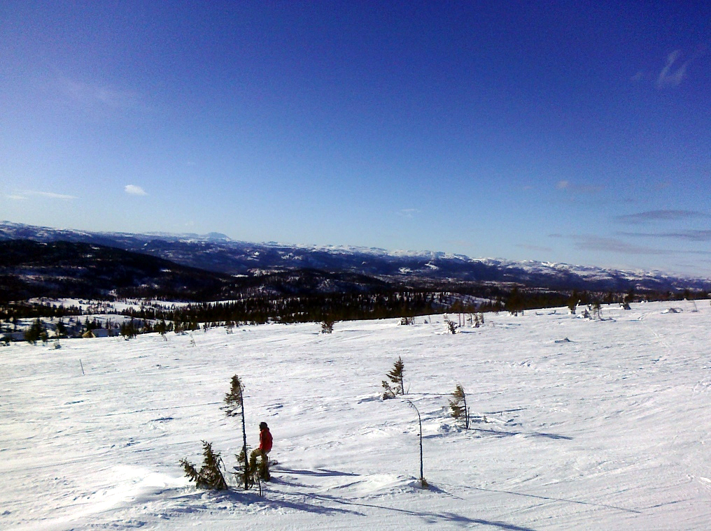 ../_images/20100213-norefjell71.jpg