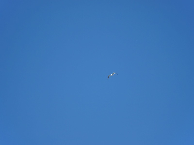 ../_images/20100604134223-blaa_himmel.jpg