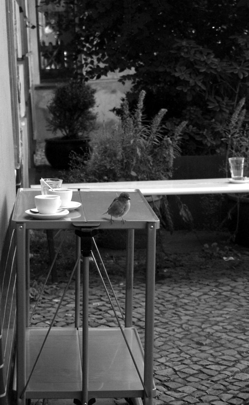 ../_images/20100904150703-berlintur_med_julie.jpg