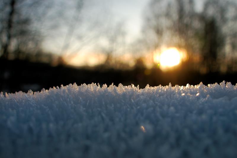 ../_images/20101204122805-istur_paa_grorud.jpg