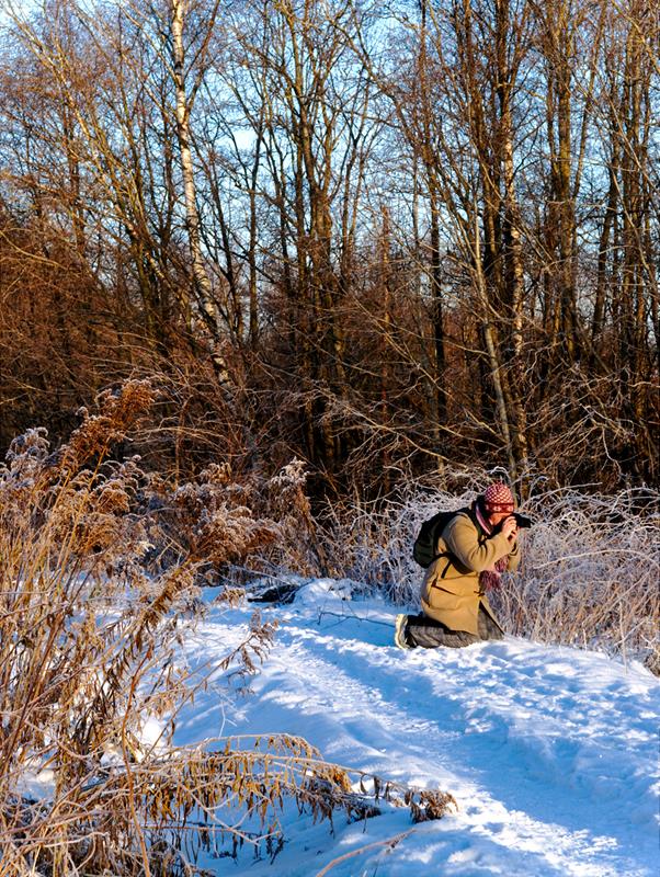 ../_images/20101204123307-istur_paa_grorud.jpg
