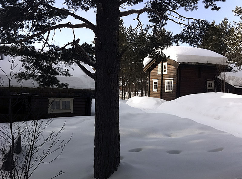 ../_images/20110312085835-atv_geilotur.jpg