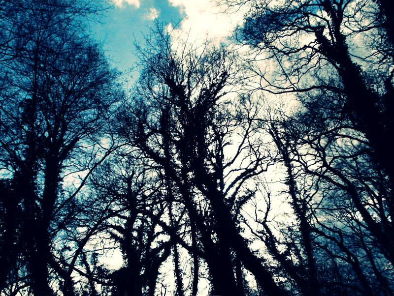 ../_images/20110324151234-rotenburg_wuemme.jpg