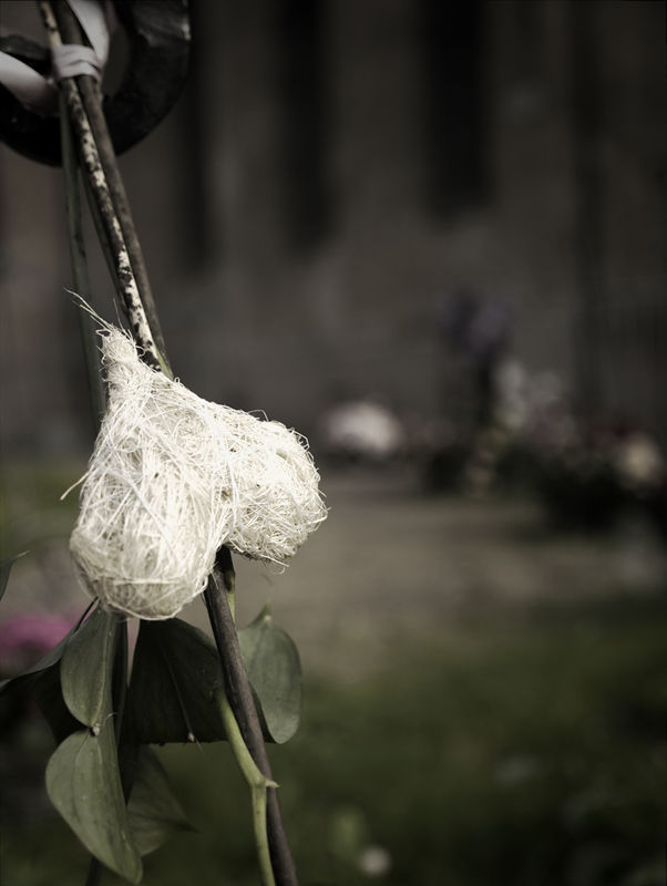 ../_images/20110817173506-tre_uker_etter_eksplosionen.jpg