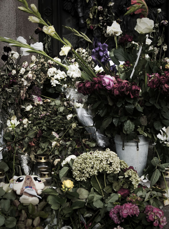 ../_images/20110817173631-tre_uker_etter_eksplosionen.jpg
