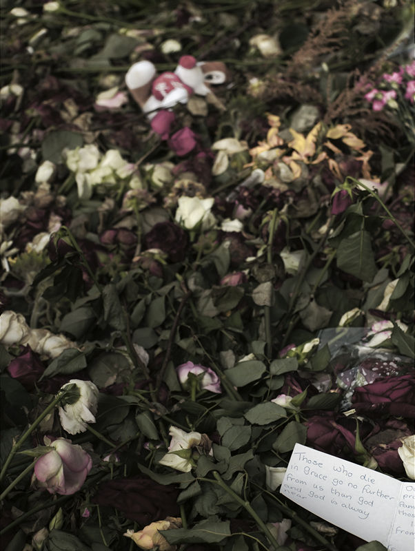 ../_images/20110817173837-tre_uker_etter_eksplosionen.jpg