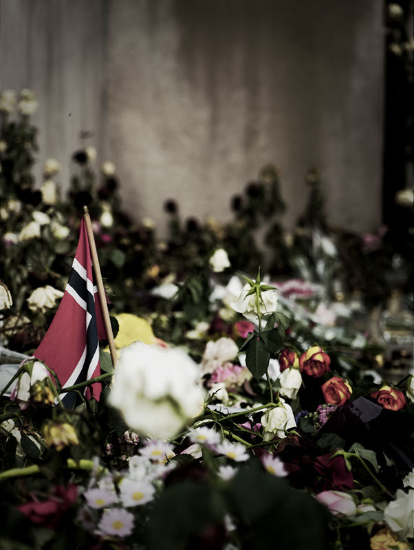 ../_images/20110817173908-tre_uker_etter_eksplosionen.jpg