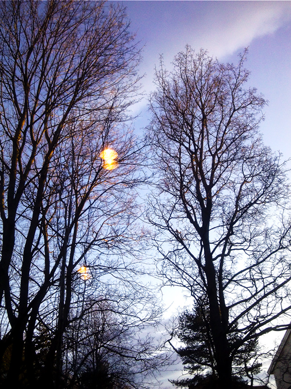 Spring is coming