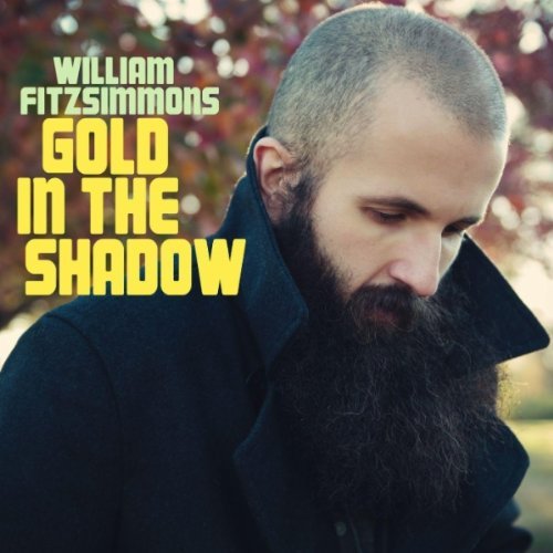 William Fitzsimmons/Gold in the shadow