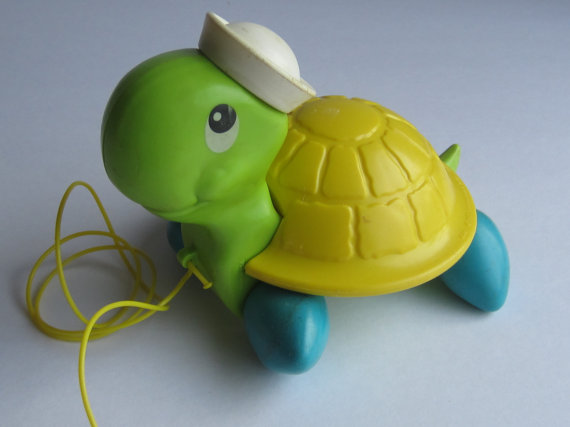 the little turtle